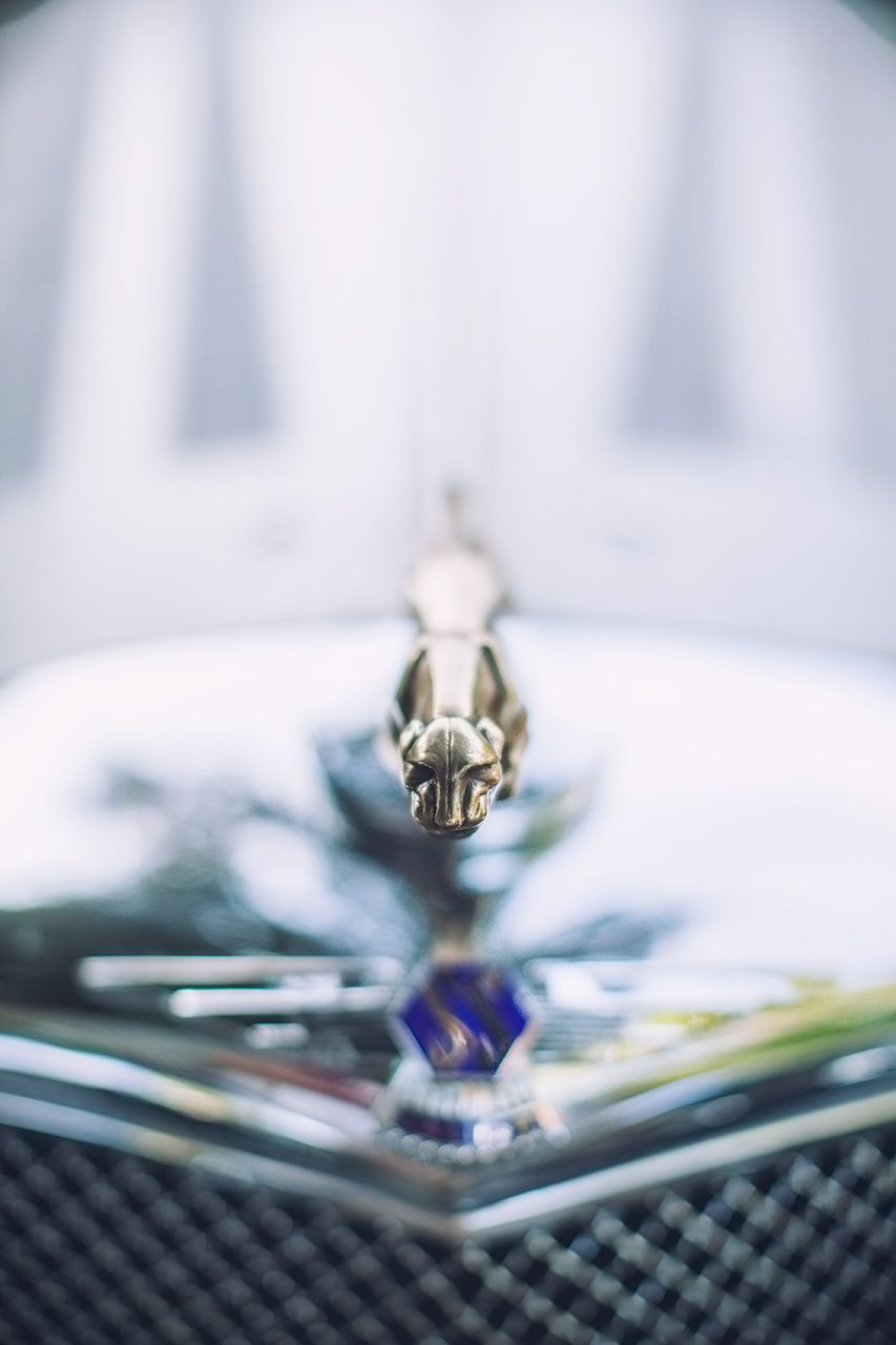 Classic Jaguar SS100 Roadster 30s sports car